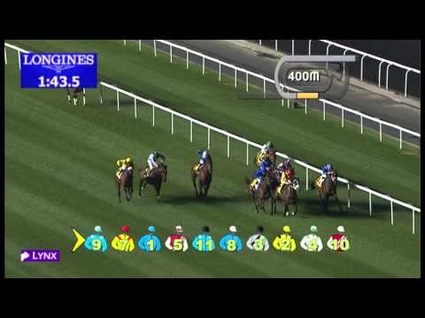 17.01.2013 Meydan (Dubai-UAE) 2.Race Dubai Duty Free Tennis Championship - 2.000 m