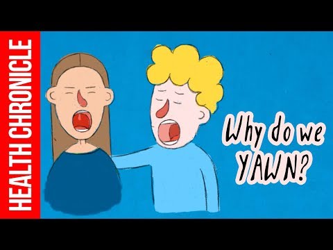 Why is Yawning Contagious ?
