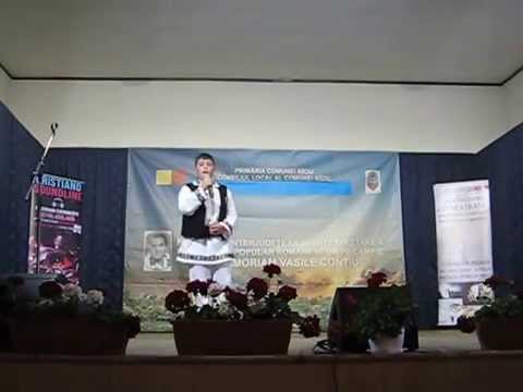 Festivalul Vasile Contiu 2014 - Darius Bucur - Pe valea Muresului