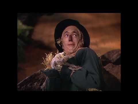 Extrait du Magicien d'Oz  (The Wizard of Oz) - La rencontre de Dorothy avec Le lion