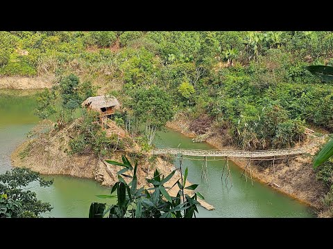 TIMELAPSE: 20 days building a bamboo bridge to the island off grid