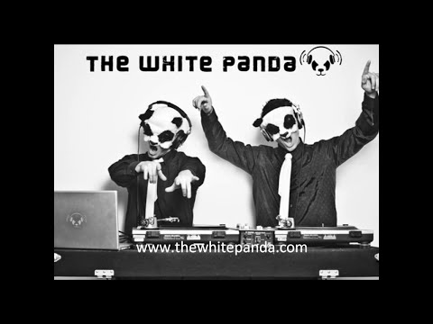 The White Panda - Why a G6 (Far East Movement // Supermode) Like A G6 Mashup