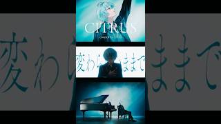 誕生日に CITRUS 歌ってみた Ver.Shorts