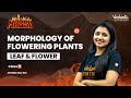 Morphology of flowering plants - L2 - Root, stem, Leaf | Class 11 Biology| Ashima Mam | Vedantu
