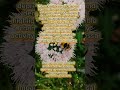 The Key To Longevity And Health Facts History People Goodpeople Life