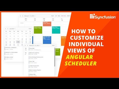 How to Customize Individual Views of Angular Scheduler