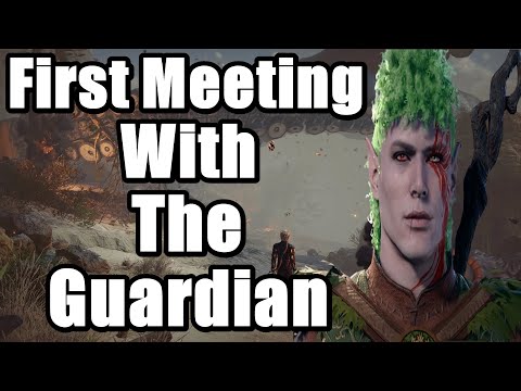 Baldur's Gate 3 - First Meeting With The Guardian Full Cutscene