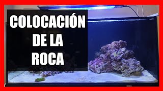 🤔¿Cómo Colocar las rocas de un Acuario Marino?[400L]