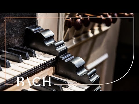 Bach - Vater unser im Himmelreich BWV 683 - Van Doeselaar | Netherlands Bach Society