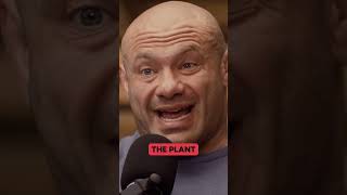 &quot;Lone Wolf Mentality&quot; is BAD