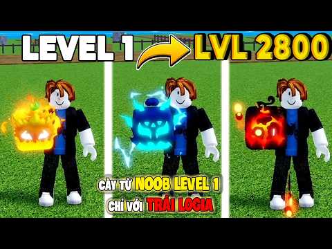 Từ Level 1 Đến Max Level Bằng Trái Nguyên Tố Trong Blox Fruits