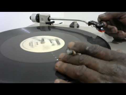 Lynn Bryant And Fatman Riddim Section– You Are  (Reggae Mix) / Fatman Riddim Section – (Dub Version)