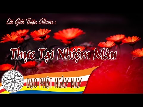 Lời giới thiệu album Thực tại nhiệm mầu