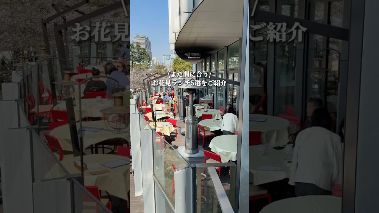 🌟おすすめお花見ランチ5選🌟