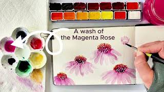 Loose Watercolor Bees and Coneflower Painting PLUS the Loose Rose Beginner Friendly Loose Flowers 🐝
