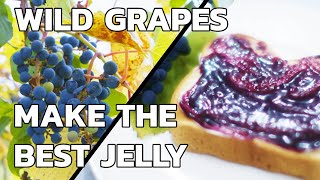 How To Make Wild Grape Jelly