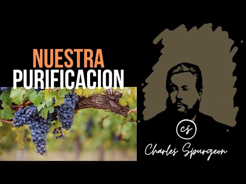 Nuestra purificación (Juan 15:2) Devocional de hoy Charles Spurgeon