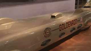 A Moment with the Collection: Goldenrod