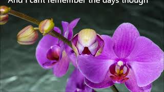 Believe By Josh Kelley (Lyrics)