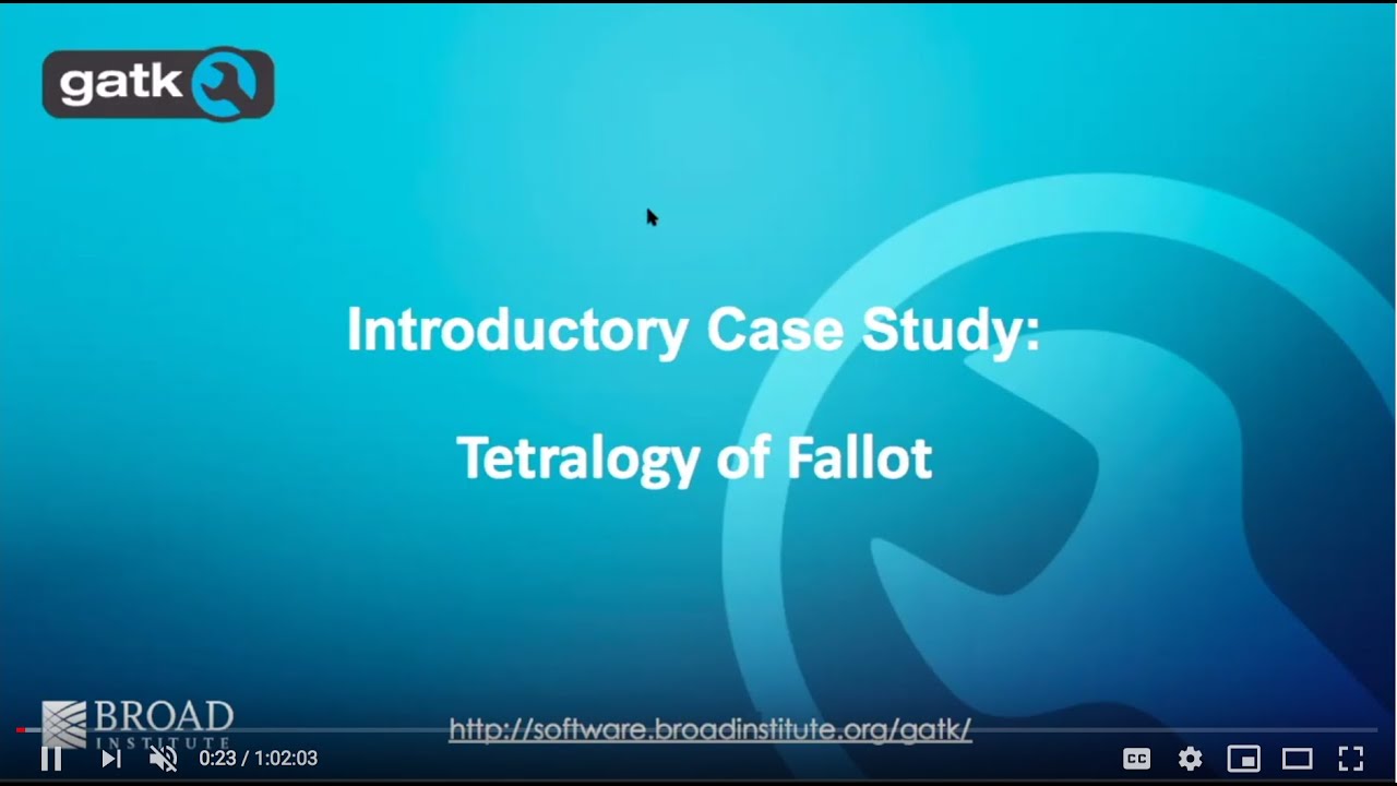 8. Introduction to a  Case Study  Analysis