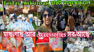 Friday Howrah Ankurhati Fish Pet Market | Ankurhati Fish Market | Ankurhati Pet Market | Fish Shop 