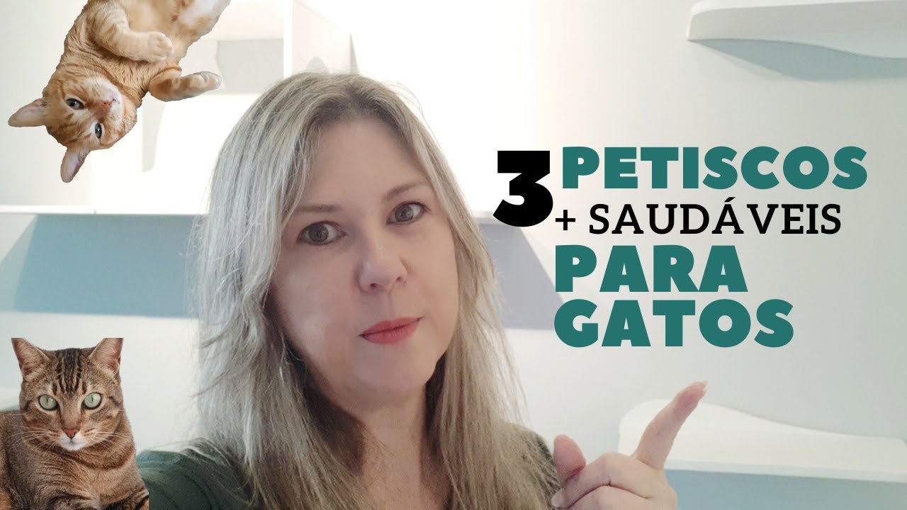 3 PETISCOS MAIS SAUDÁVEIS PARA GATOS - Achados especialmente para fazer seu gato feliz!