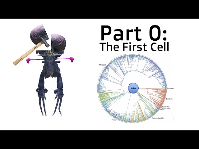 How the First Cells Evolved and What It Means for Building Alien Life ...