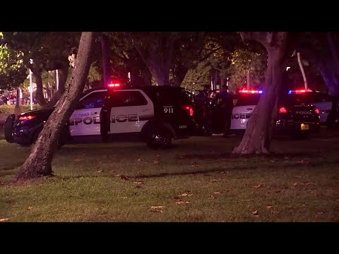 Spring Break Madness