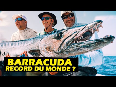 Is This Barracuda a World Record?! | Roadfish - Season 9 Episode 4