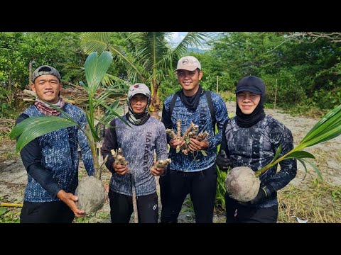 EP757-P1 - Pagtatanim ng Niyog at Kamoteng Kahoy sa Isla | Sinampalukang Manok