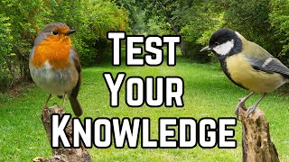 The Great Big Garden Bird Quiz!