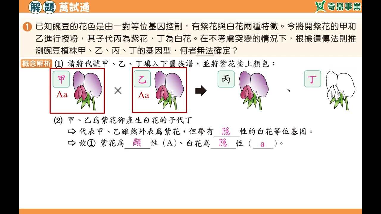 單元7：豌豆花色的遺傳