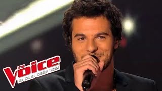 Elton John – Candle in the Wind | Amir Haddad | The Voice France 2014 | Blind Audition