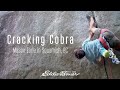 Cracking Cobra