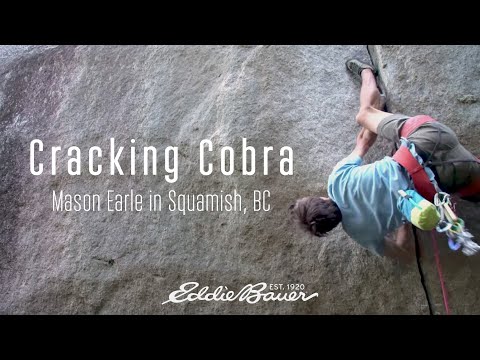 Cracking Cobra