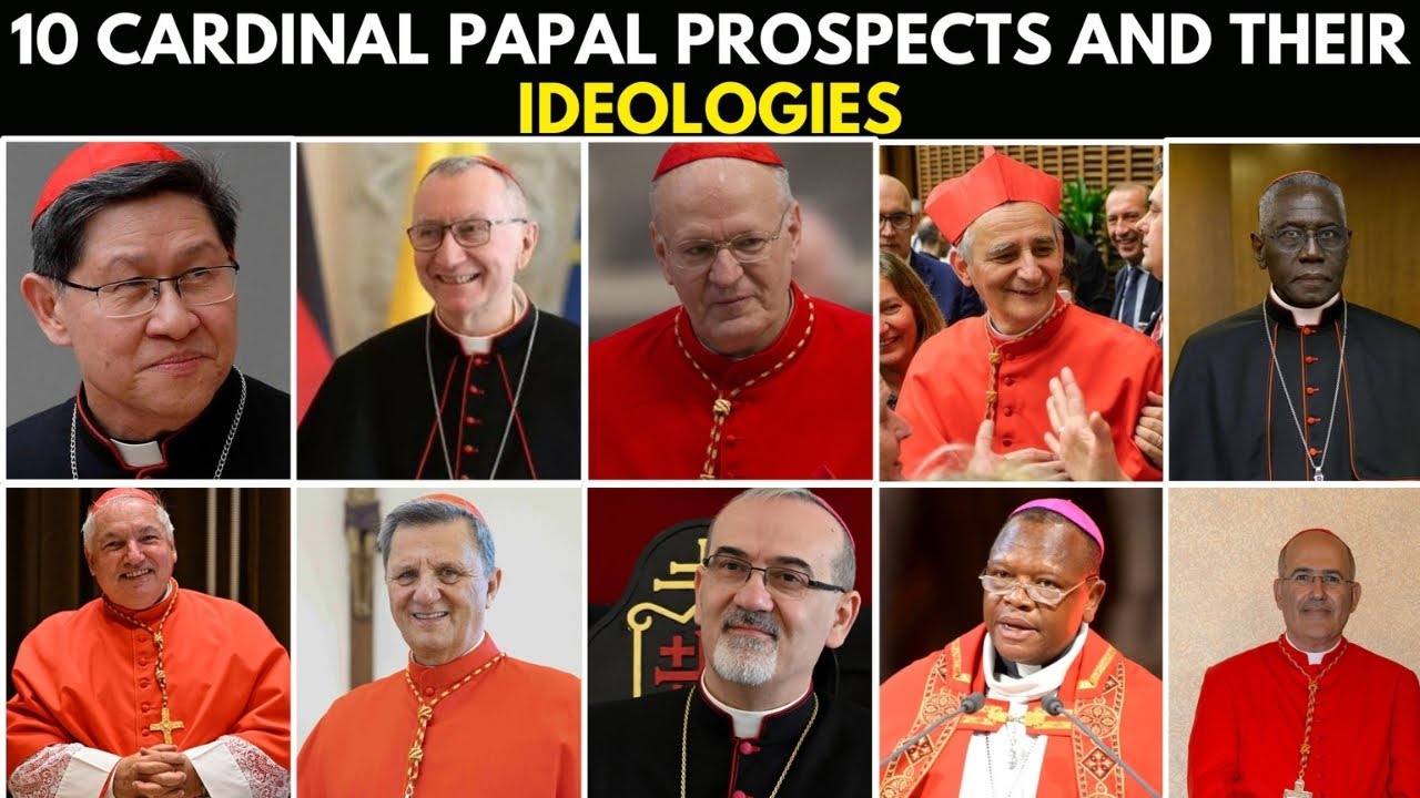 10 Cardinal Papal Prospects And Their Ideologies.