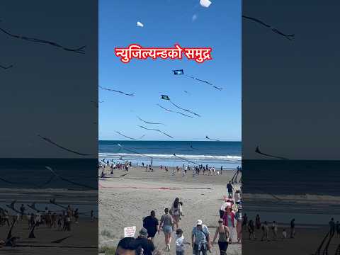 Beach festival New Zealand #youtubeshorts #beach
