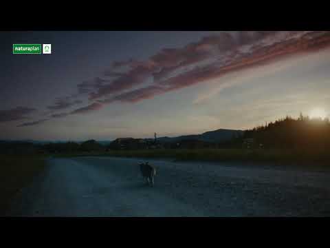 Naturaplan | FRANKY | 2021