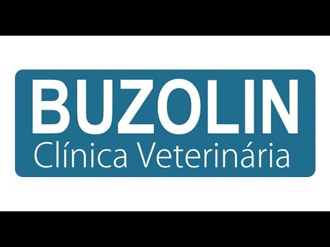 Vídeo de Clínica Veterinária Buzolin em Santa Cruz do Rio Pardo, SP por Solutudo