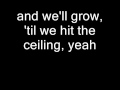 Breaking Benjamin - Skin (With Lyrics)