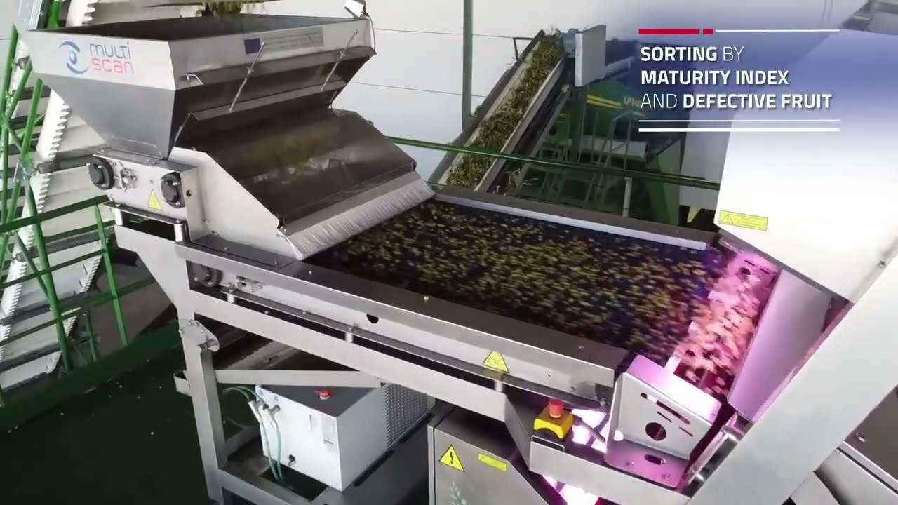 MULTISCAN EVOOlution - English