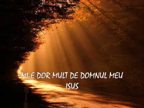 Mi-e dor de acea mareata zi - Ilie A Negru