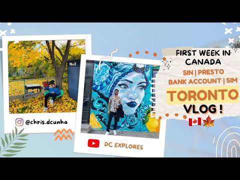 FIRST WEEK IN CANADA | SIN NUMBER| FREEDOM SIM CARD|PRESTO CARD|OPEN BANK ACCOUNT IN CANADA|FREE $50