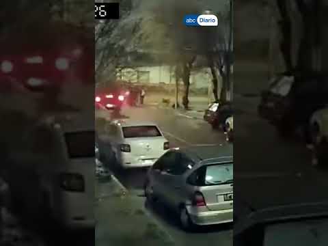 ⚠️ Un perrito murió electrocutado y denuncian un peligroso poste con corriente en la vía pública