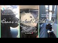 Essa S At School TikTok Comp None Are Mine Credits To Original Owners Nova Moonpawzz