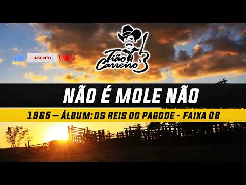 Não É Mole Não - Tião Carreiro e Pardinho