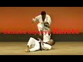 OKINAWA KARATE Kata Bunkai　型と分解 2000年