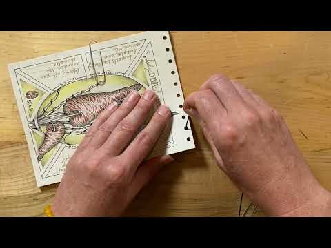 Zentangle Project Pack No. 21 - Wrap Up