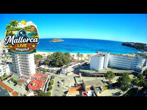🌞 Mallorca Webcam LIVE Magaluf Beach & Punta Ballena 🌴 24/7 | Party & Beach Vibes #magaluf #mallorca