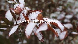 The Light The Heat "Let it Grow" Lyric Video